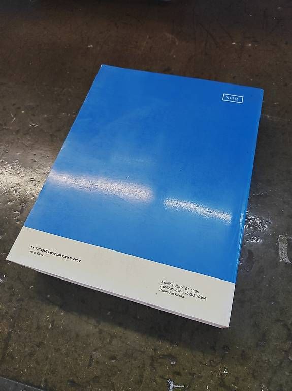 Libri: Werkstatthandbuch Hyundai Accent – Usato da Oberuzwil venduto da Daemel 1