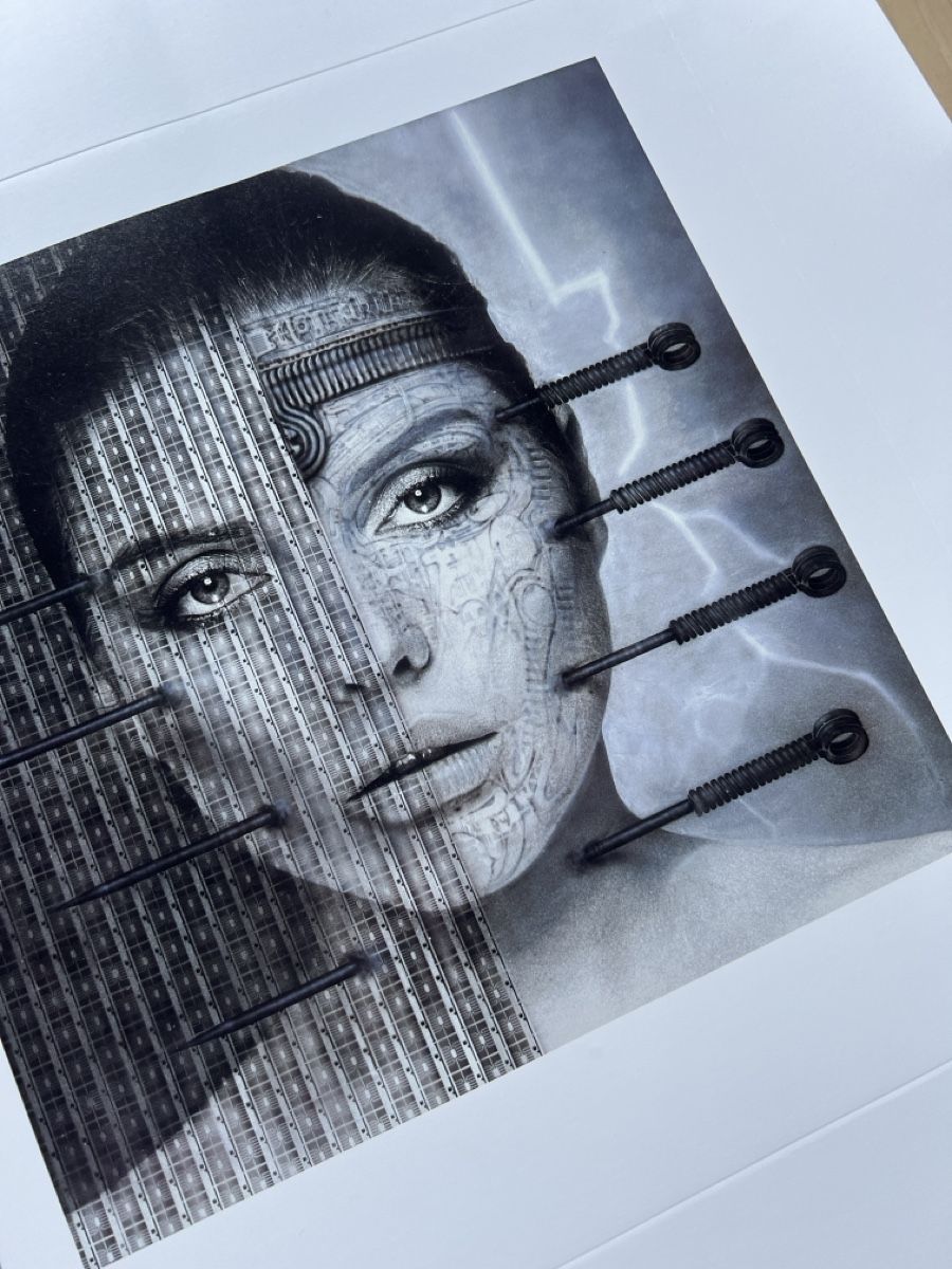 Grafica & Litografie: HR Giger Lithografie, Debbi Harry, Blondie – Nuovo (secondo la descrizione) da Glattfelden venduto da Ak_5bL 3