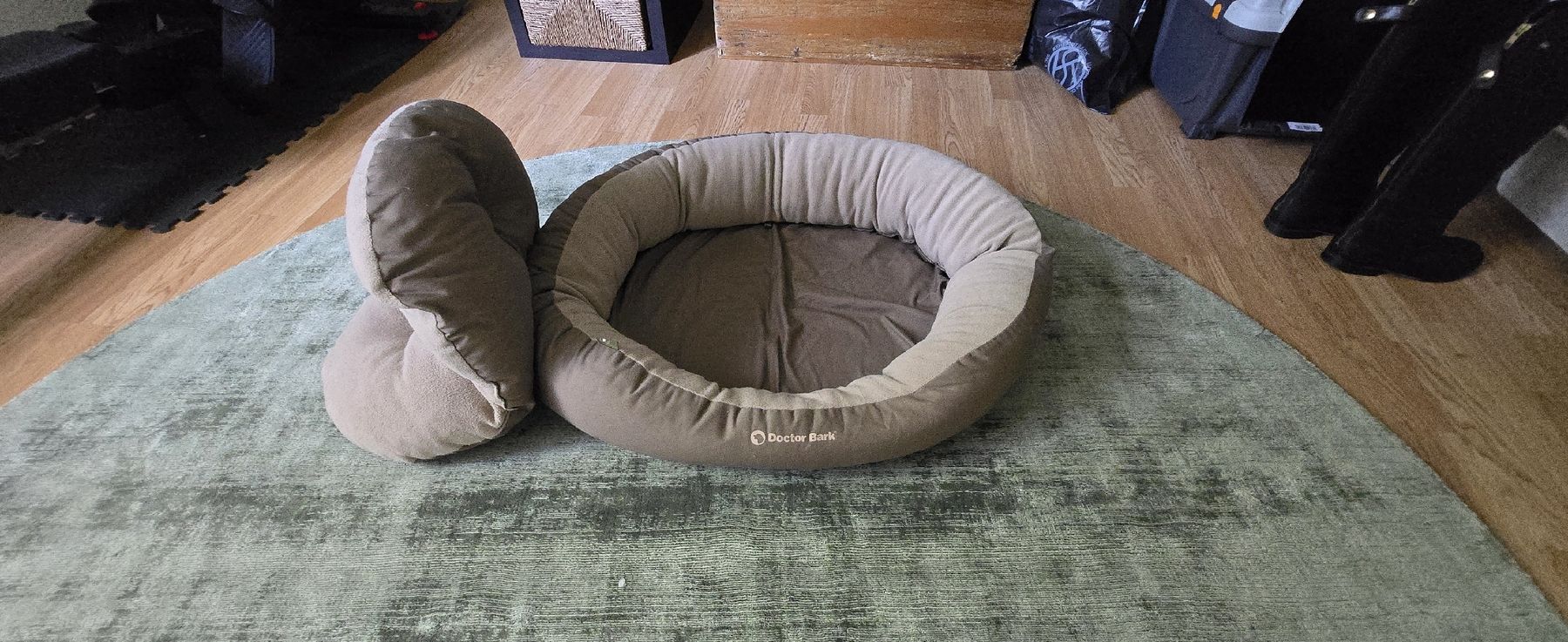 Cucce & Letti: Hundebett von Dr. Bark 80x60cm – Usato da Zollikerberg venduto da Thrisha 1