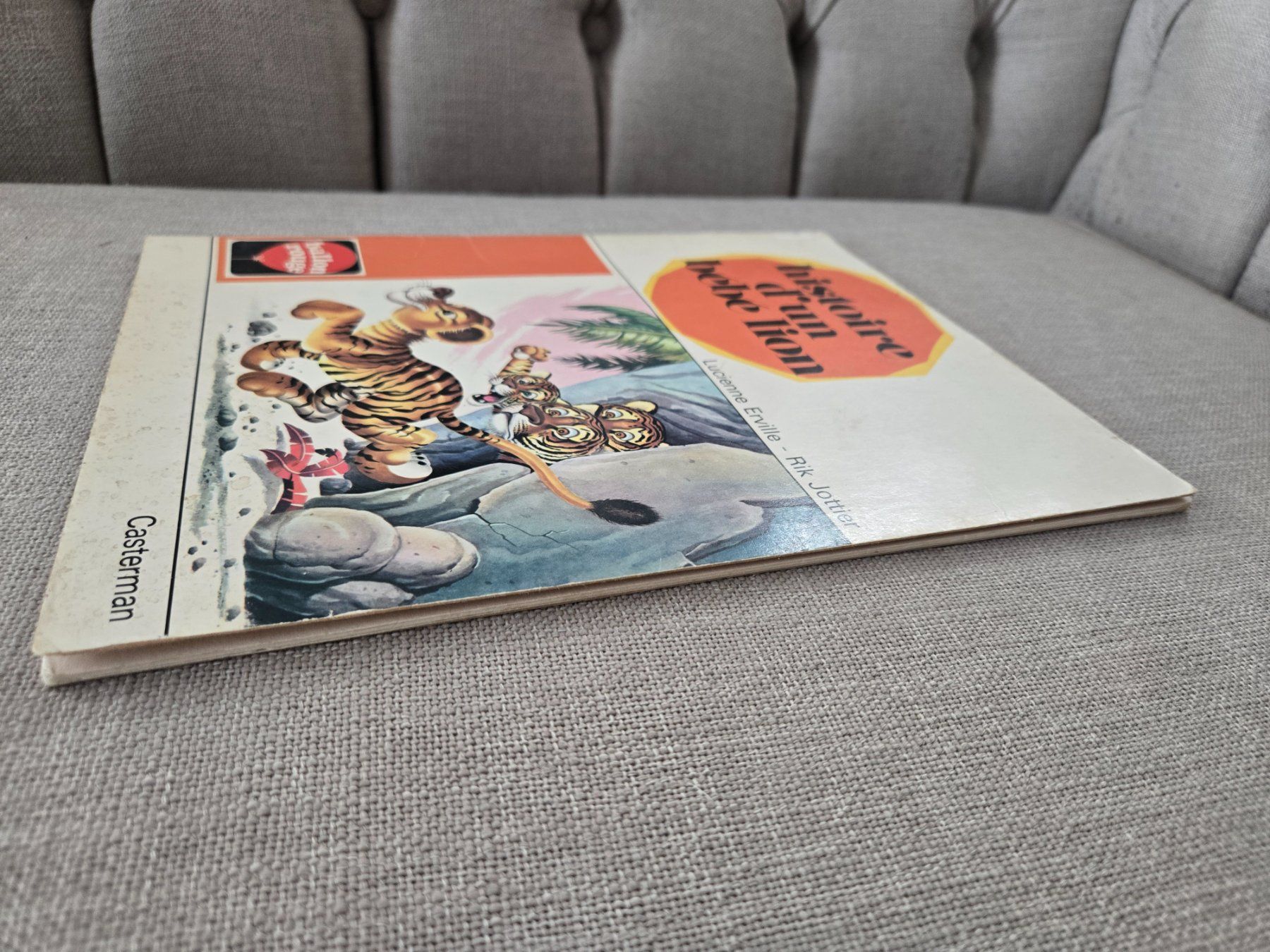 Libri: Histoire d'un bébé lion – Usato da Crémines venduto da Blakedrake 3