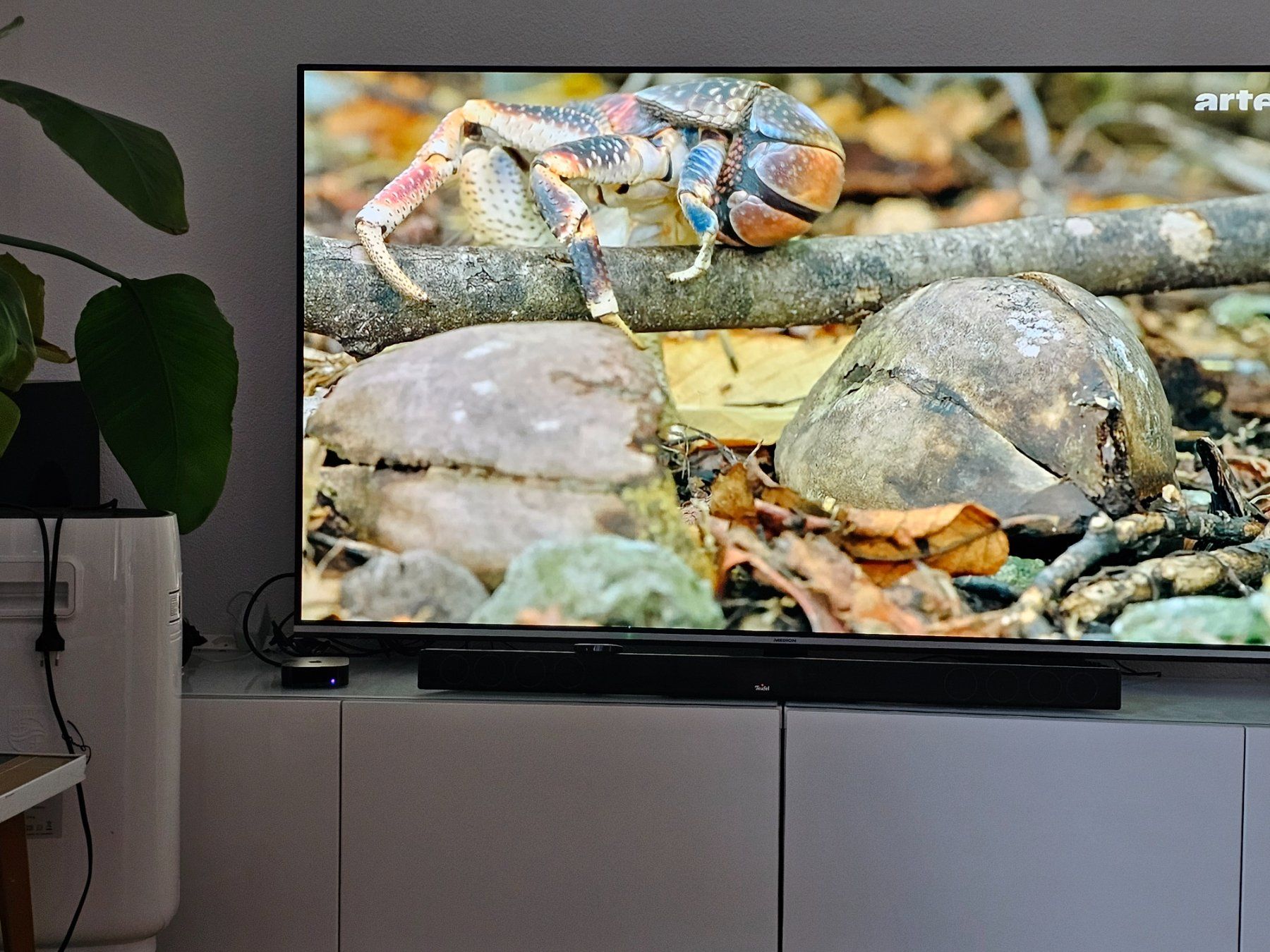 Fernseher: OLED Smart TV – Gebraucht aus Romanshorn von udo_ytq5 6