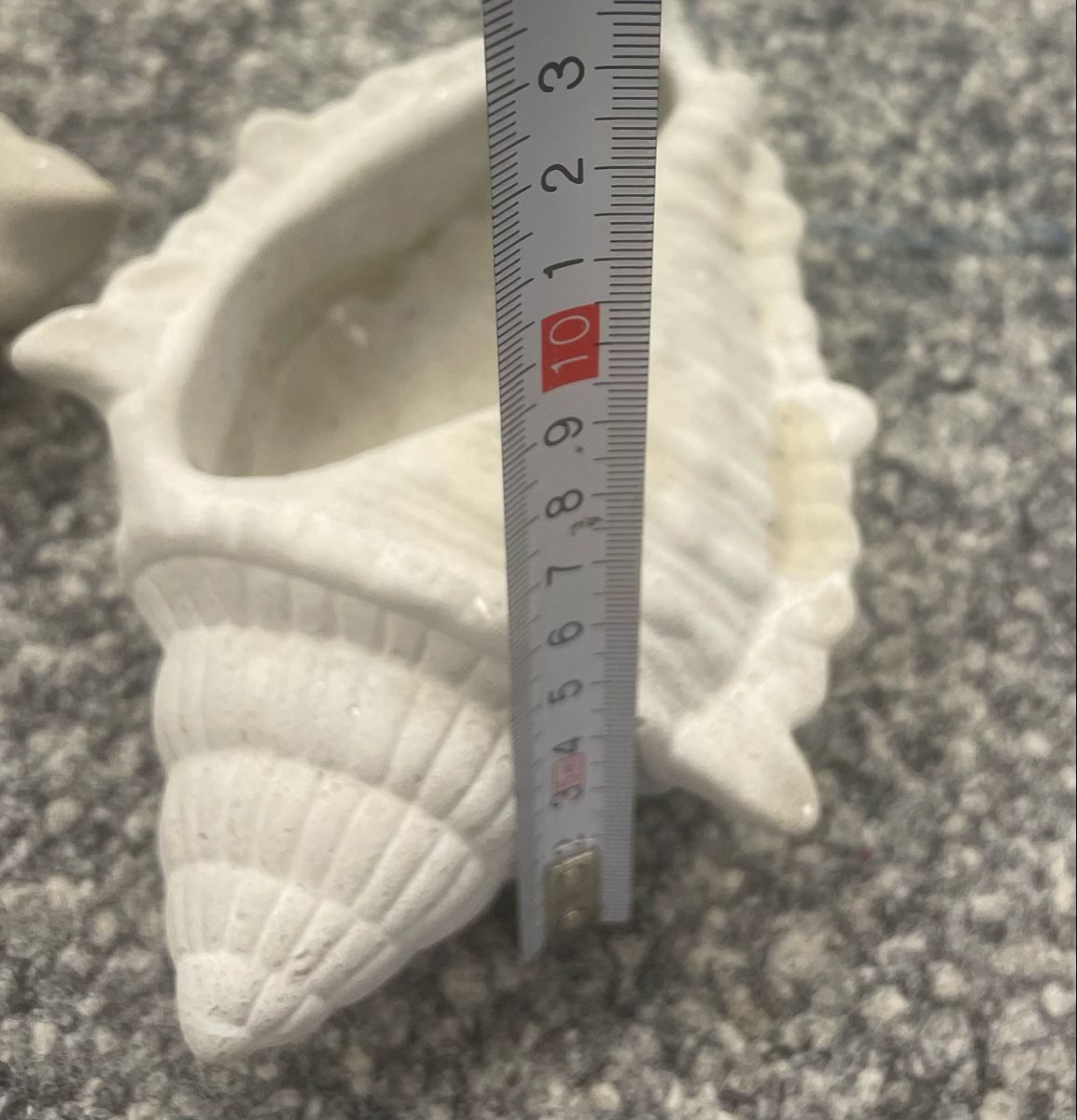 Vasi per fiori: 2 Muschel-Übertopfe/Dekoartikel ,Vase – Nuovo e nell'imballaggio originale da Au ZH venduto da Jaggy4 6