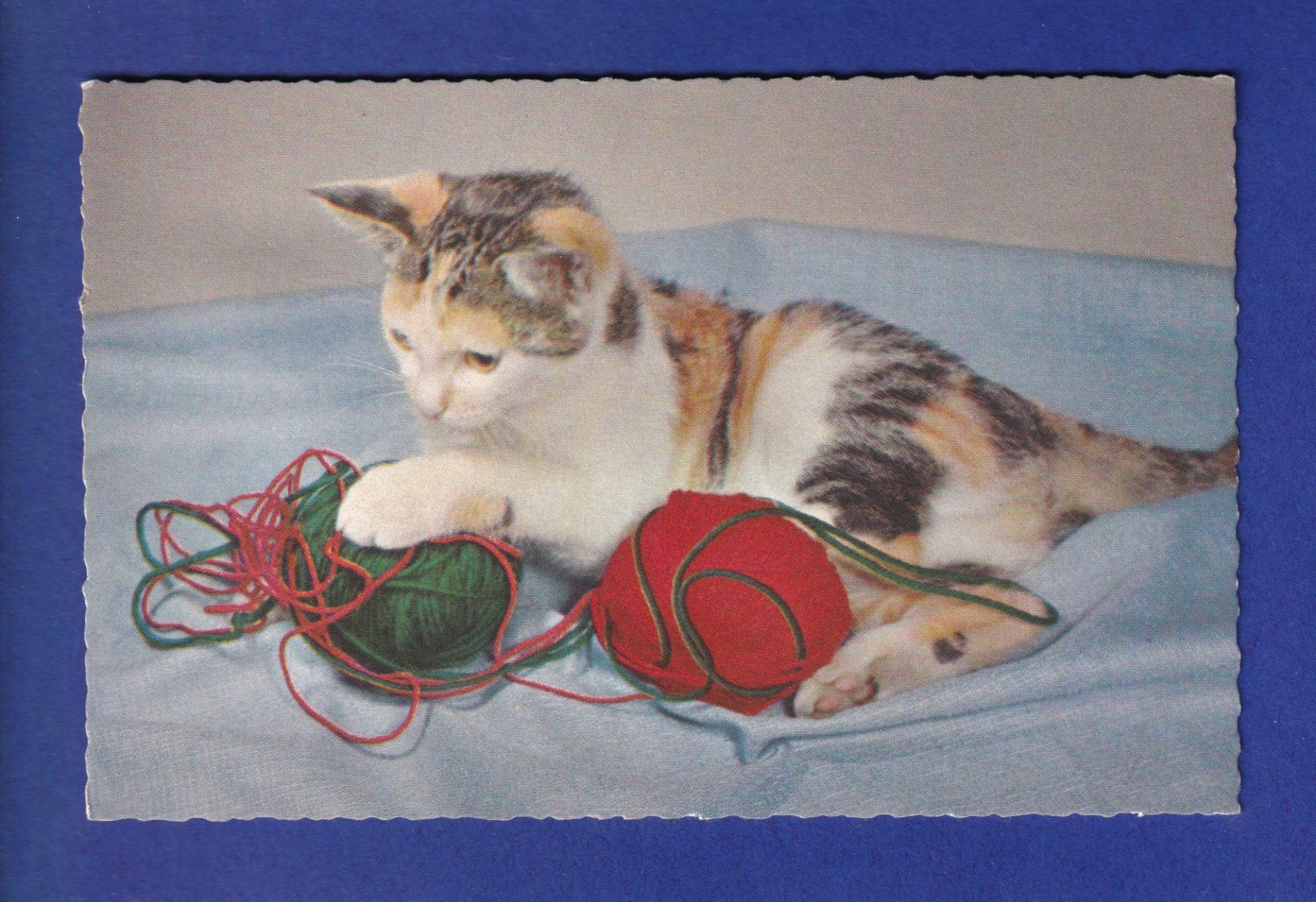 Ansichtskarten: CHAT - Pelottes de laine – Gebraucht aus Pully von nicecards-shop