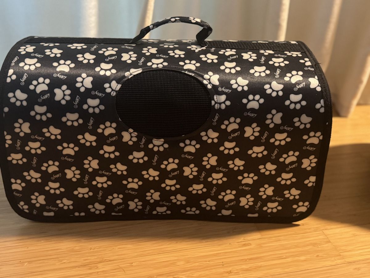 Liege- & Schlafplätze: Haustiertasche – Gebraucht aus Forch von WuestN 4