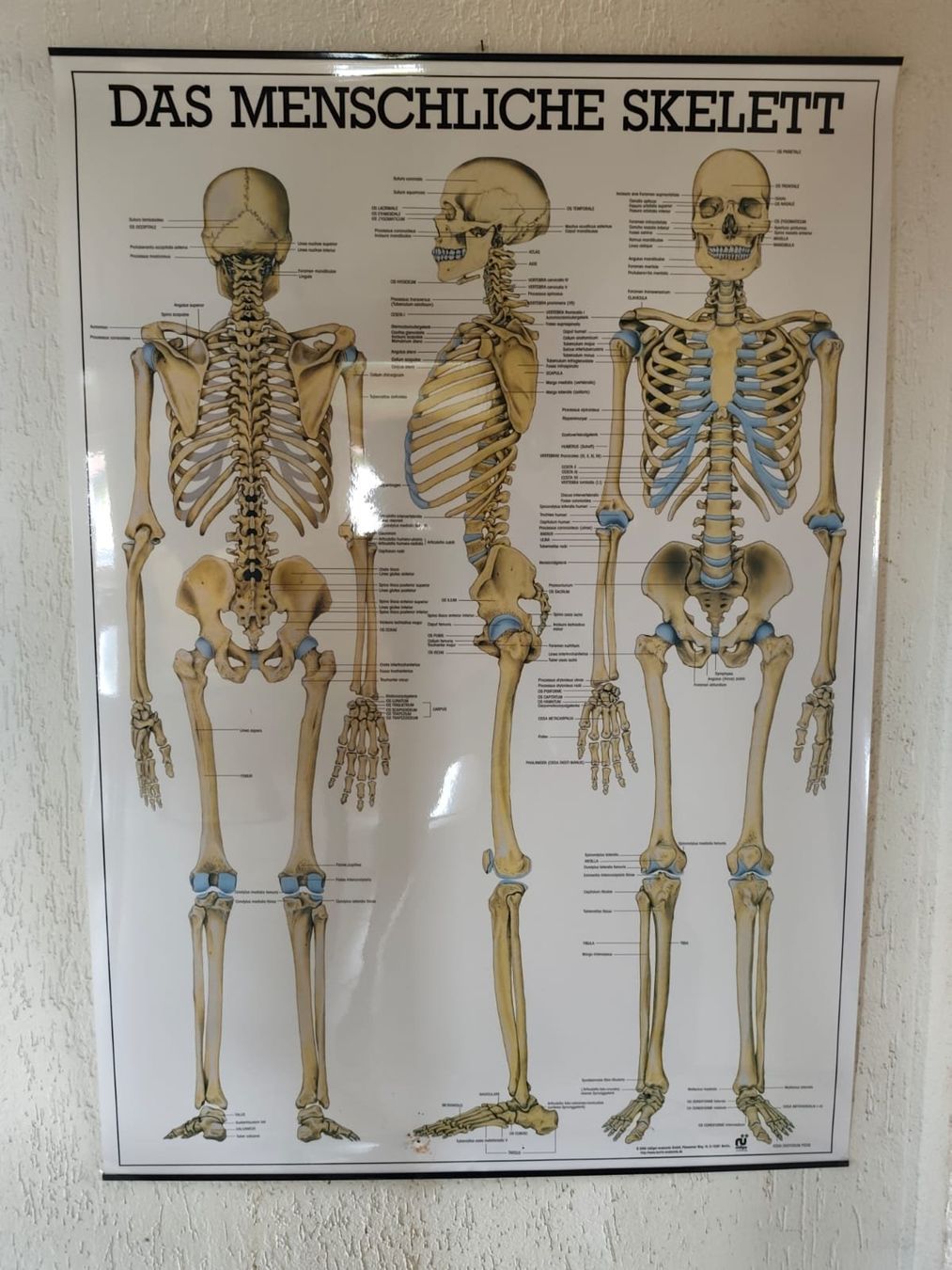 Foto & Immagini: Plakate zum aufhängen 3er Set – Usato da Haag (Rheintal) venduto da sch_2zy9