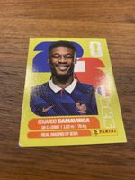 Panini Fra 10