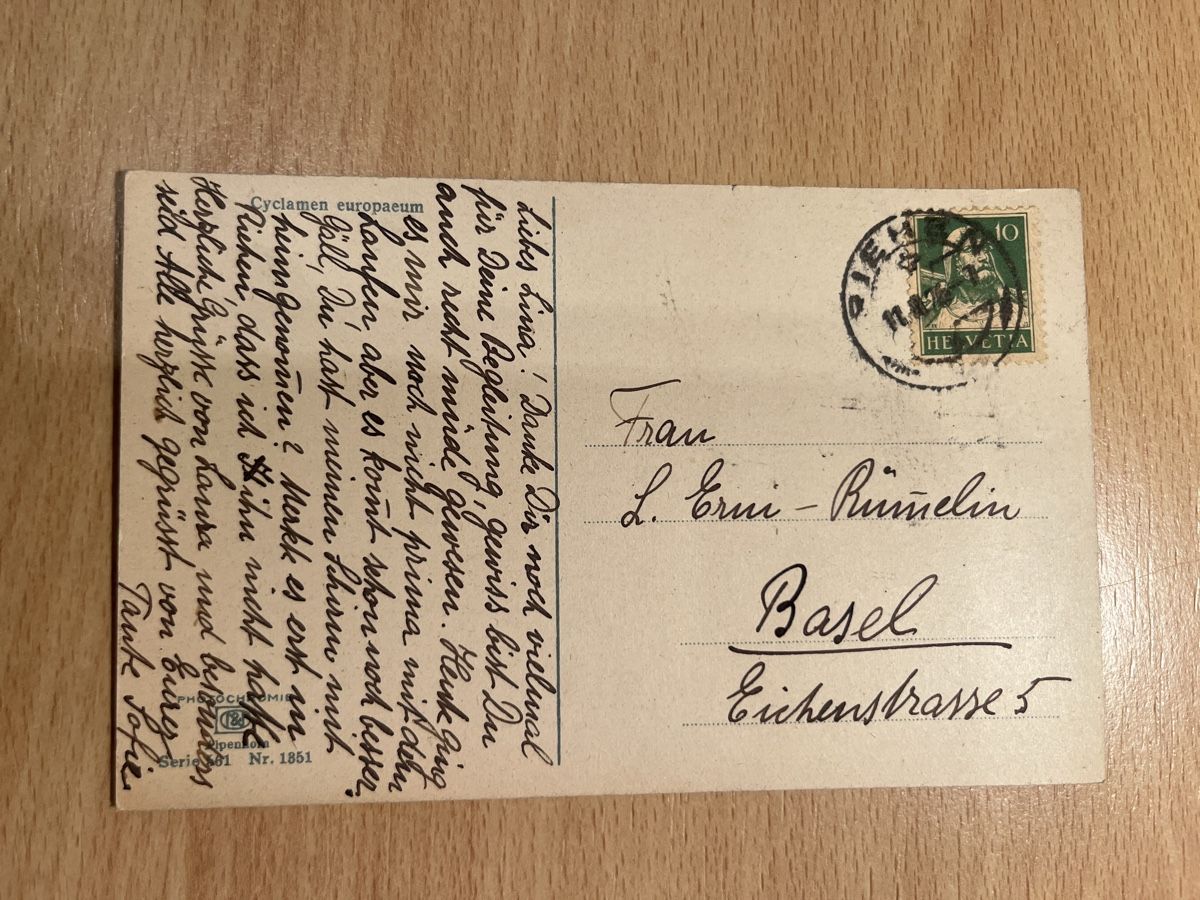 Cartoline postali: Alte Ansichtskarte Basel, Eichestrasse, Herbst-Schnäppchen – Usato da Hinwil venduto da Chuan2 1
