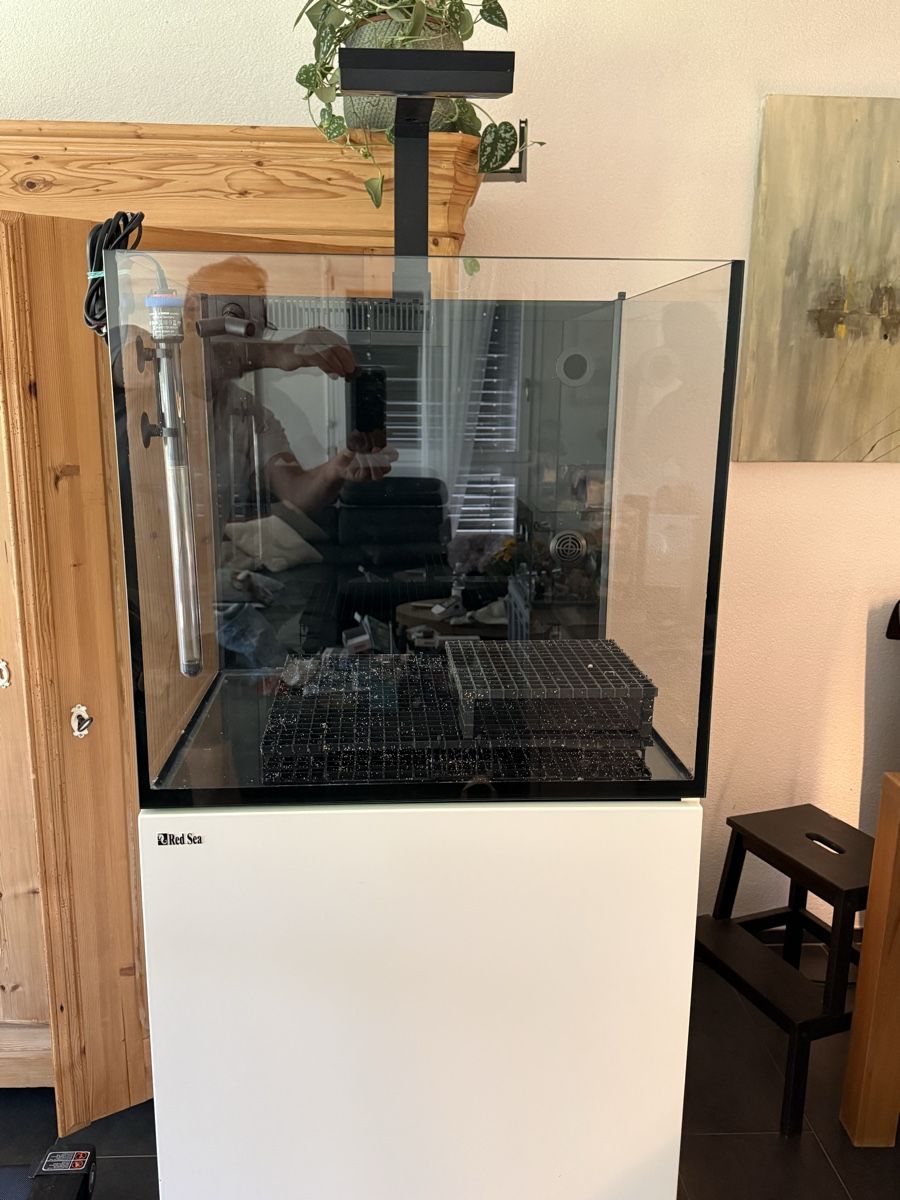 Aquarium: Red Sea Maxe-170 Aquarium  – Gebraucht aus Pfäffikon ZH von dan_xs7t
