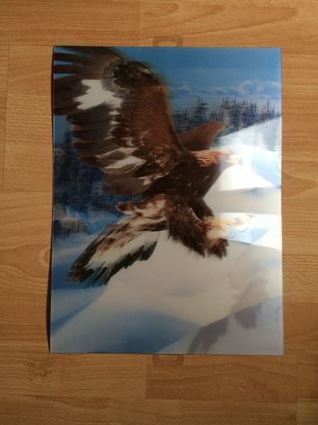 Posters & Illustrations: Adler 3 D Bild – Neuf avec emballage d'origine à Basel par Adler61