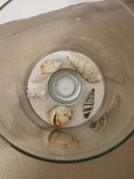 Windlicht mit Muscheln und Sand guter Zustand