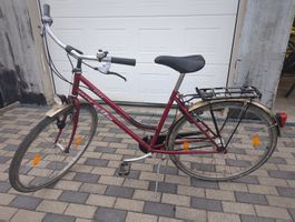 Damen Velo/ Fahrrad