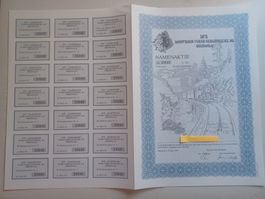 Namensaktien DFB Furka-Bergstrecke AG Oberwald