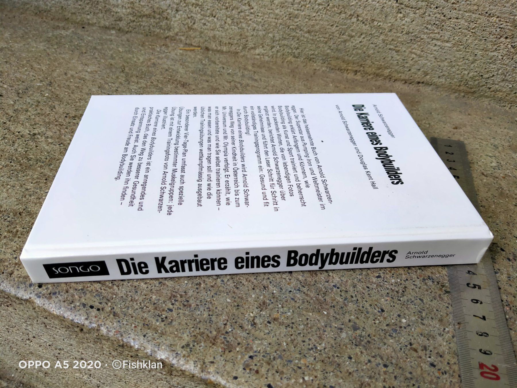 Libri: Schwarzenegger, Karierre eines Bodybuilders / Räumung – Usato da Küssnacht am Rigi venduto da WorthPoint 1