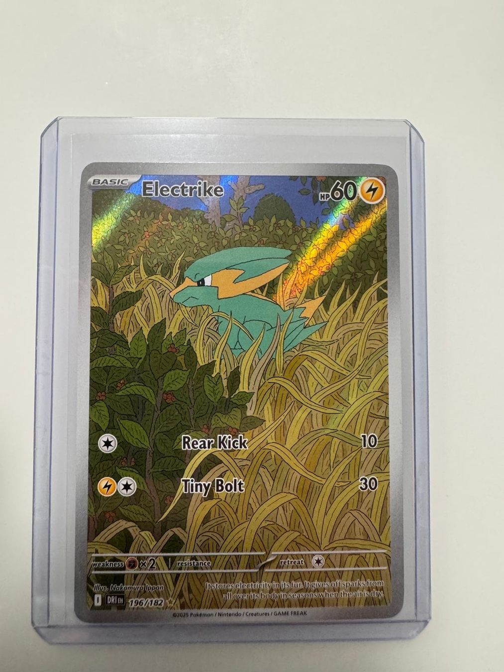 Pokémon Sammelbilder & Trading cards: Electrike | Illustration Rare | DRI 196/182 | EN – Gebraucht aus Spreitenbach von Snacky96