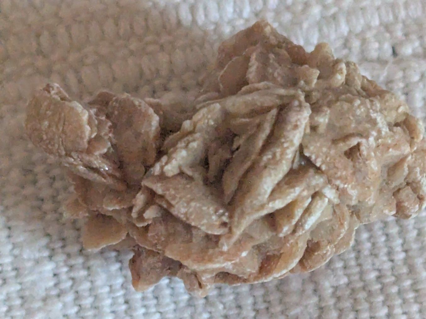 Minerali & Pietre curative: Rose des sables naturelle – Usato da Lausanne venduto da Nchiva 1