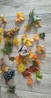 Herbst Dekoration Weintraubenranken, Blätter & Boccalino 
