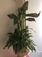 Belle plante artificielle d'intérieur, parfait état !