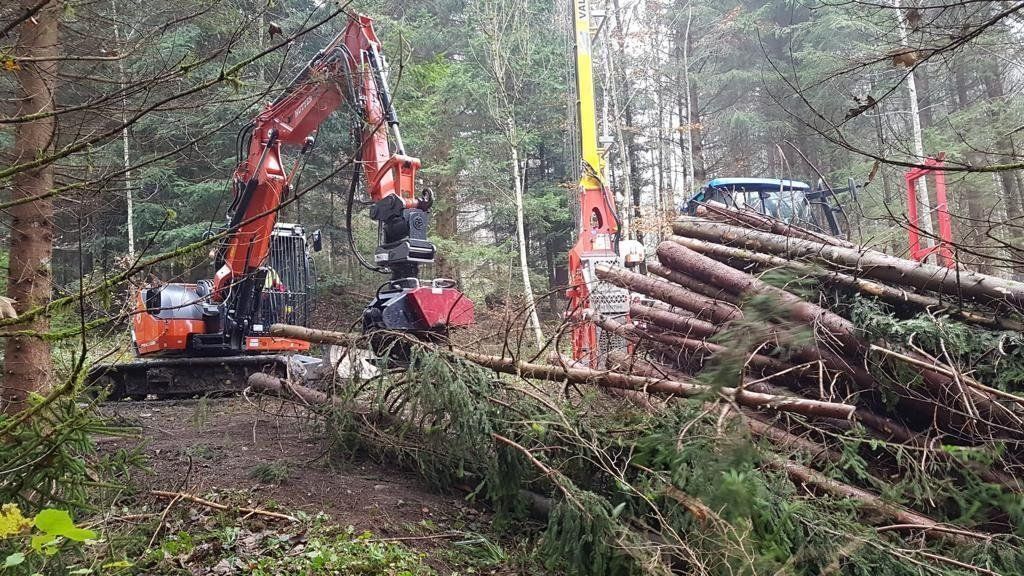Escavatori: Kompakte Greifersäge MS 500 (Swiss made) – Nuovo e nell'imballaggio originale da Hasle LU venduto da LinTech 8