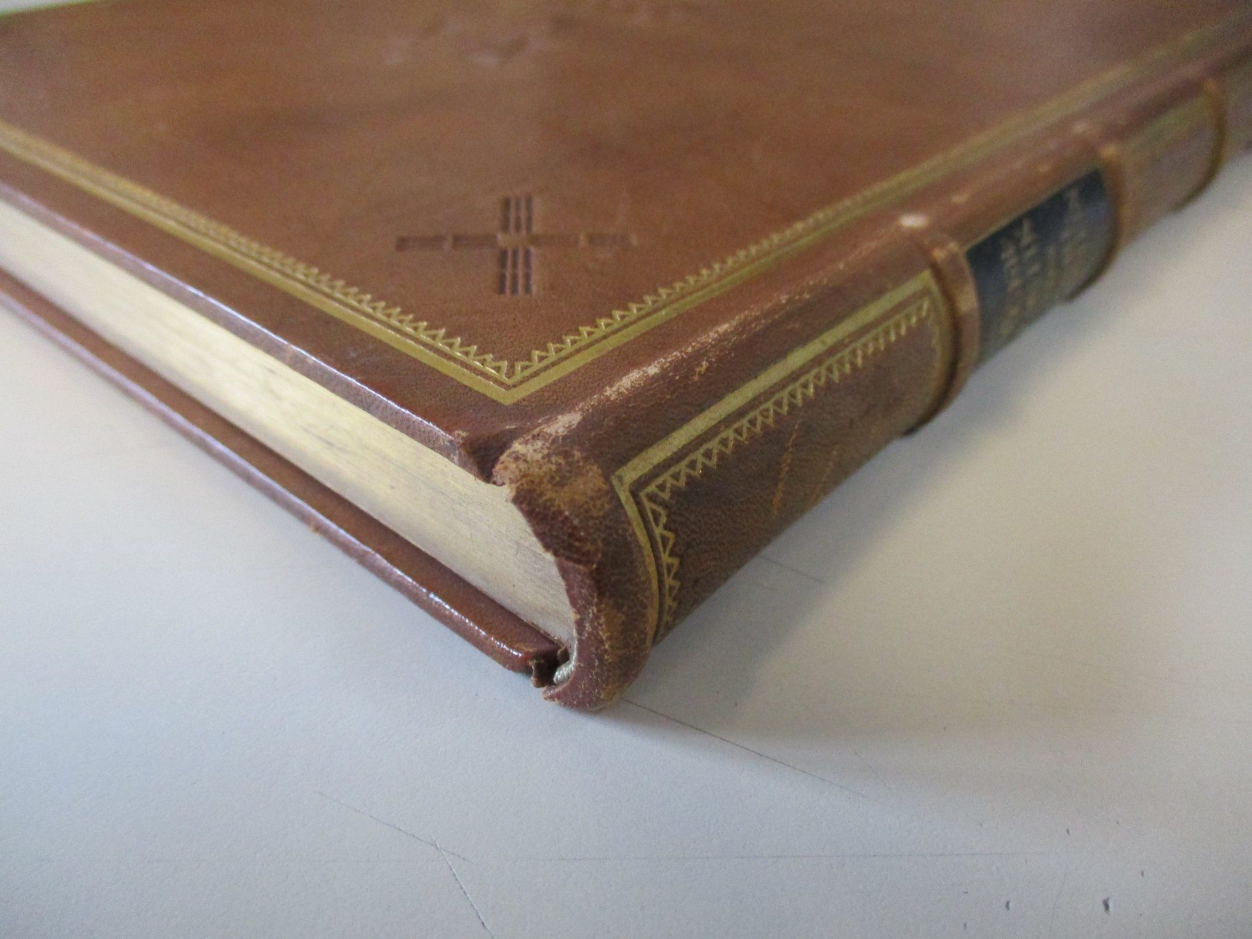 Bücher: CARL EINSTEIN - NEGERPLASTIK 1915 ERSTE AUFLAGE – Gebraucht aus Zürich von edi_9xtw 6