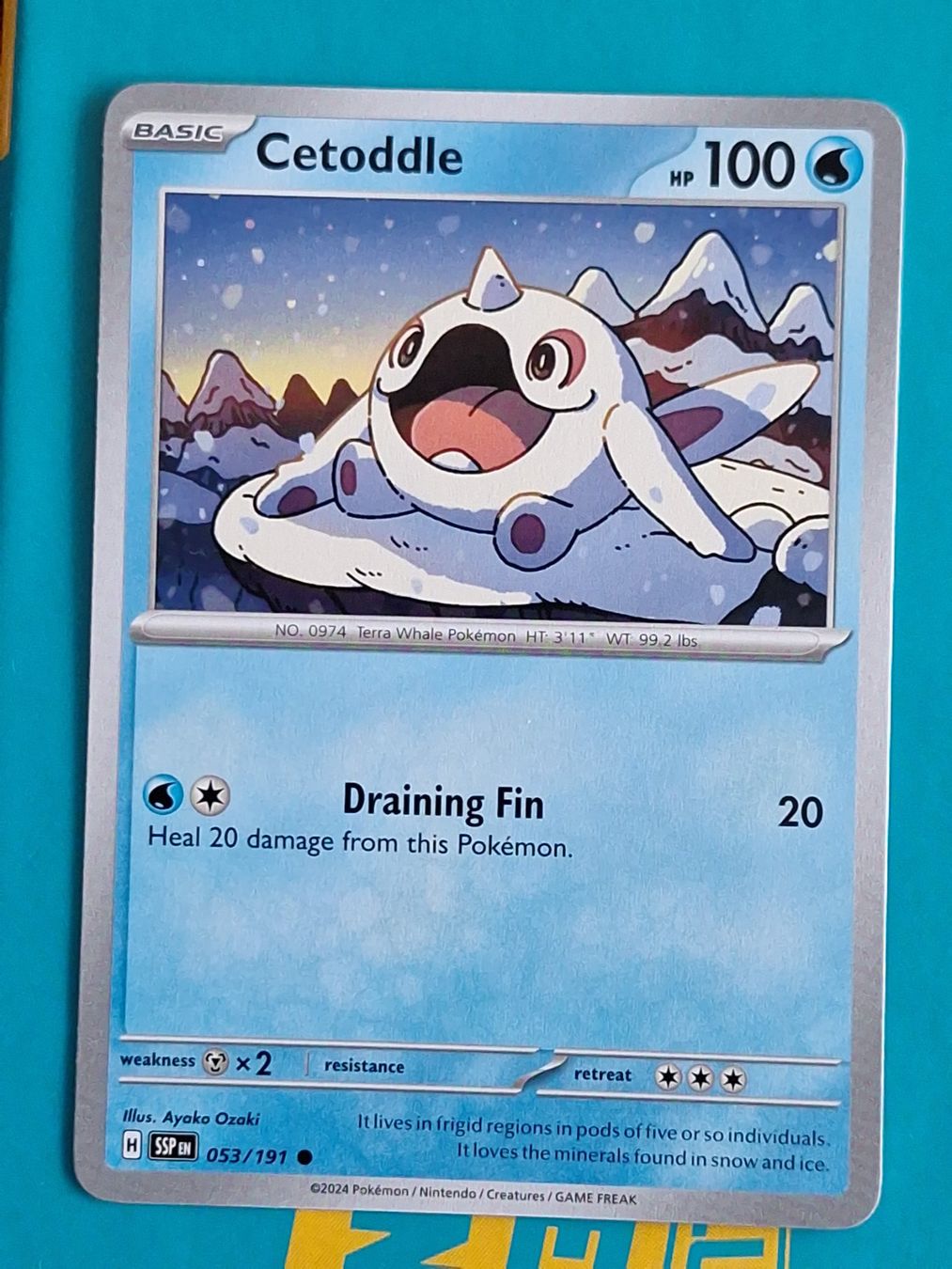 Pokémon Carte collezionabili: Cetoddle - Pokemon Surging Sparks – Usato da Altstätten SG venduto da GGsGameshop