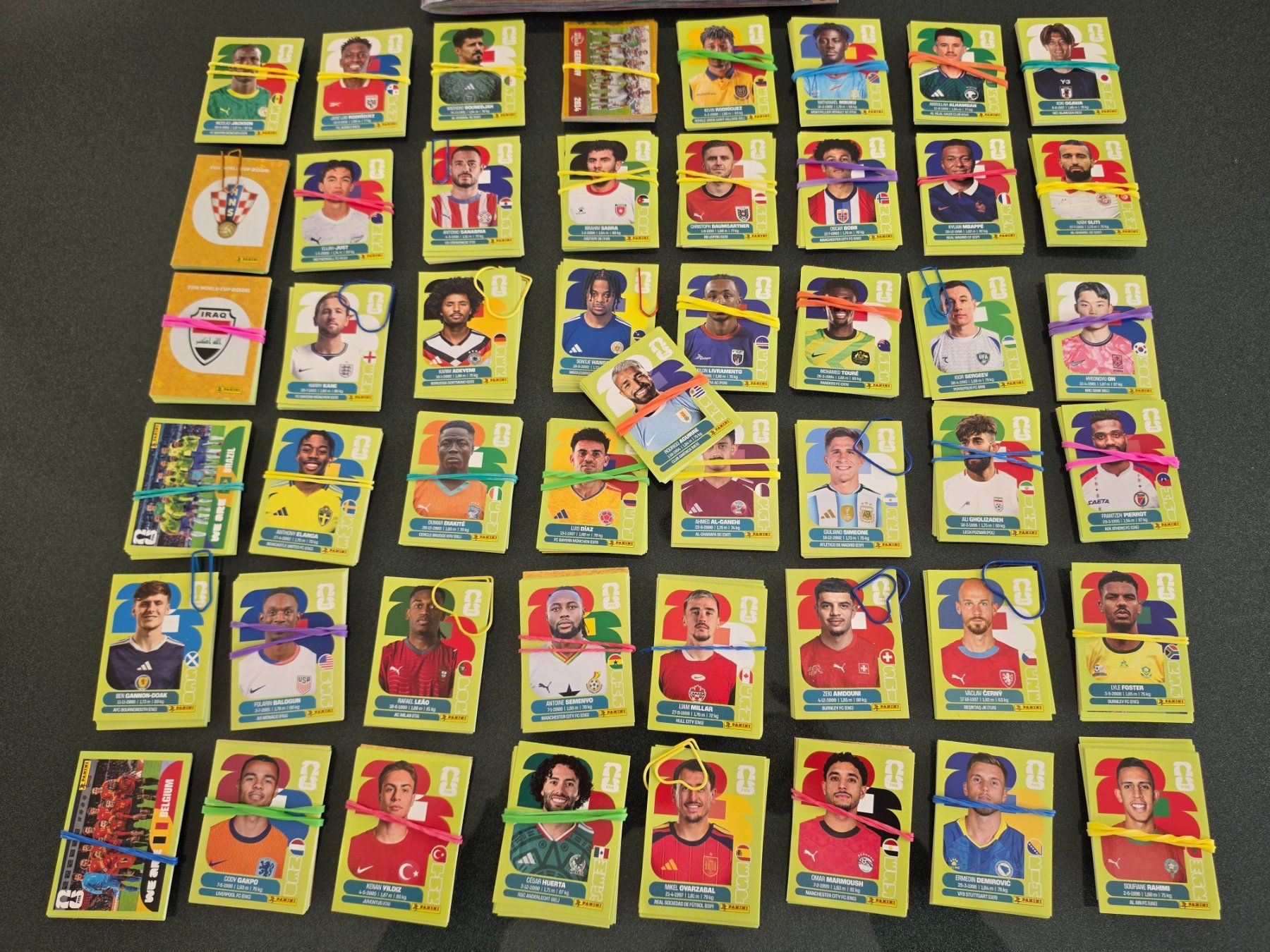 Panini Carte collezionabili: Panini WM2026 Bilder zum Tauschen – Nuovo (secondo la descrizione) da Bassersdorf venduto da marcelallok