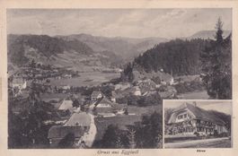 Gruss aus Eggiswil   Bären  1923