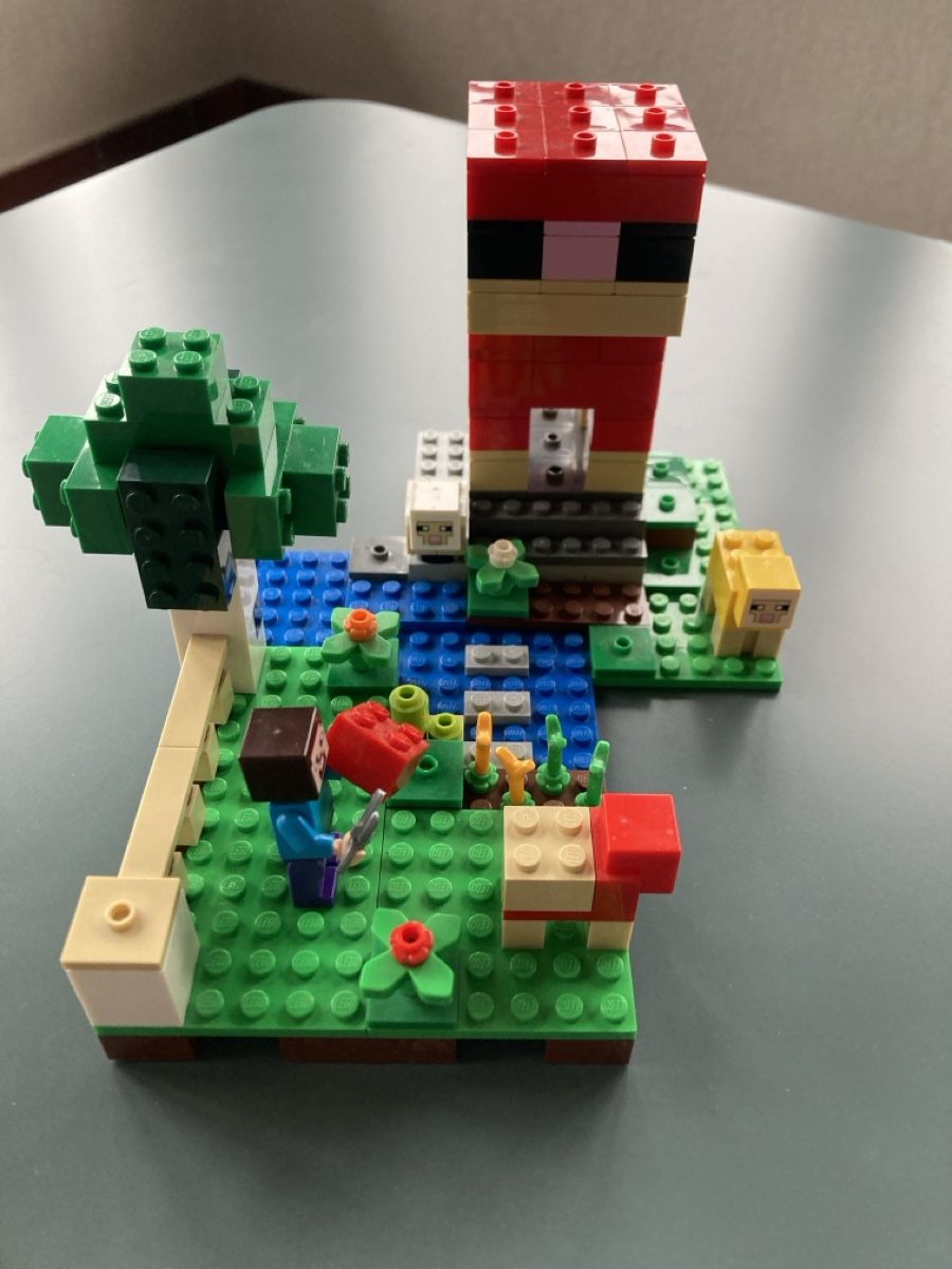 Lego Kit di costruzioni: Lego Minecraft Das Schaf  21153 – Usato da Bergdietikon venduto da Ricardola 3