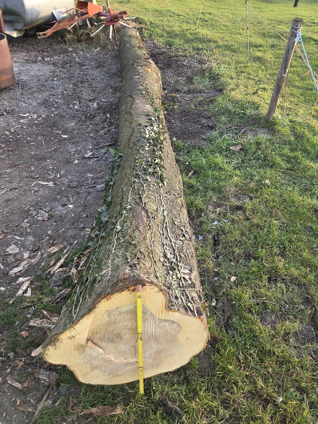 Articoli in legno: Kirschbaum Bretter Stamm Holz – Usato da Aettenschwil venduto da Betrieb87 2