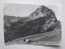 Carte postale Col et Dent de Jaman restaurant ancien 1929