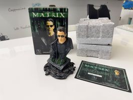 Matrix: Limited Gentle Giant Neo Büste (6798 von 8000)