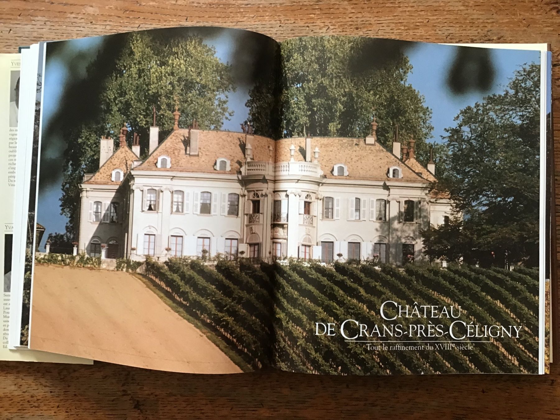 Libri: Les châteaux viticoles du Pays de Vaud – Usato da Fully venduto da Ruby97 4