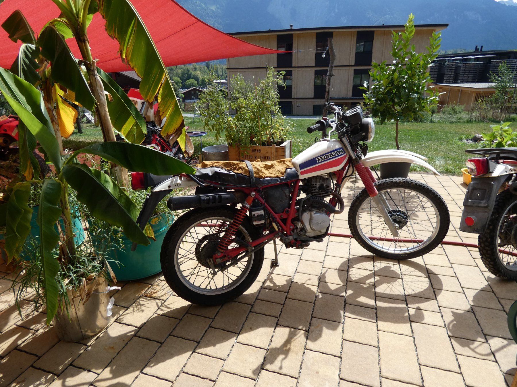 Enduro: honda xl125s   2x – Difettoso da Hofstetten BE venduto da IsabellR 3