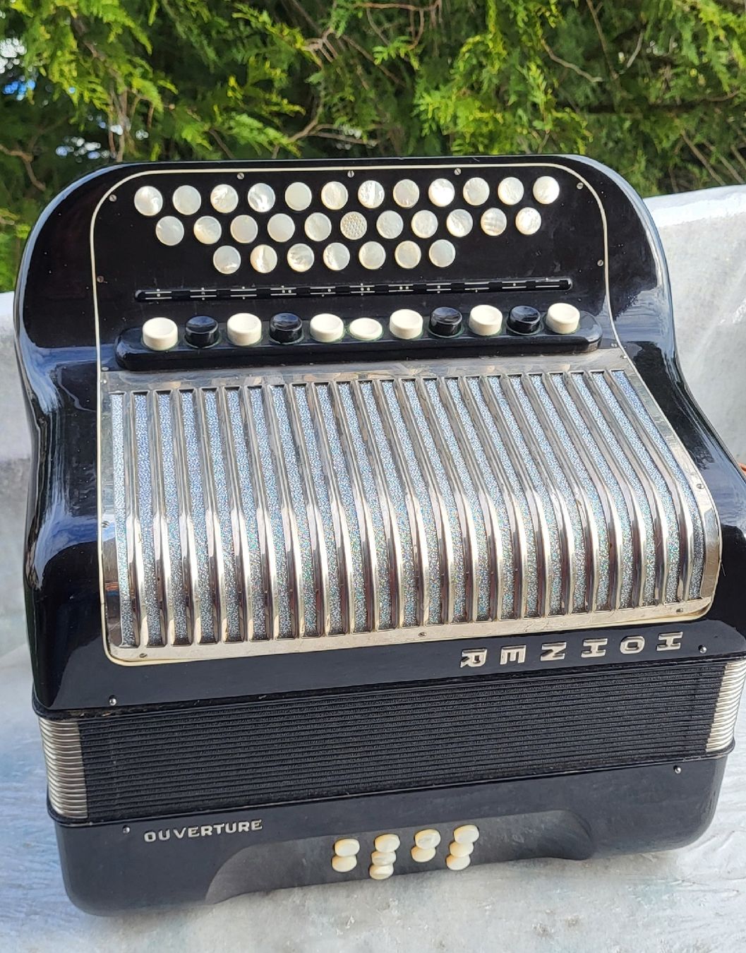 Hohner Strumenti musicali: Accordéon hohner Ouverture 4 voix – Usato da Penthalaz venduto da EvandroLuz
