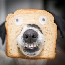 Profile image of Peggy13