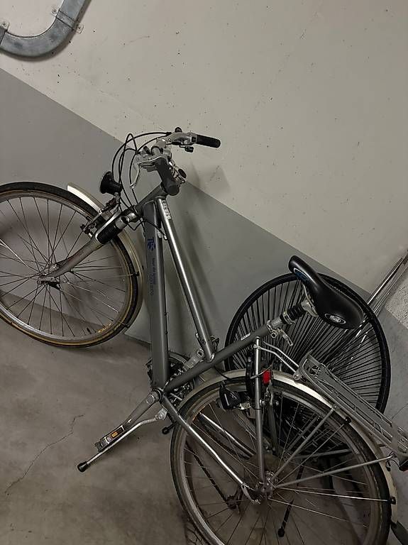 Biciclette: 3 x Fahrrad  – Usato da Eschen venduto da bakiedis 1