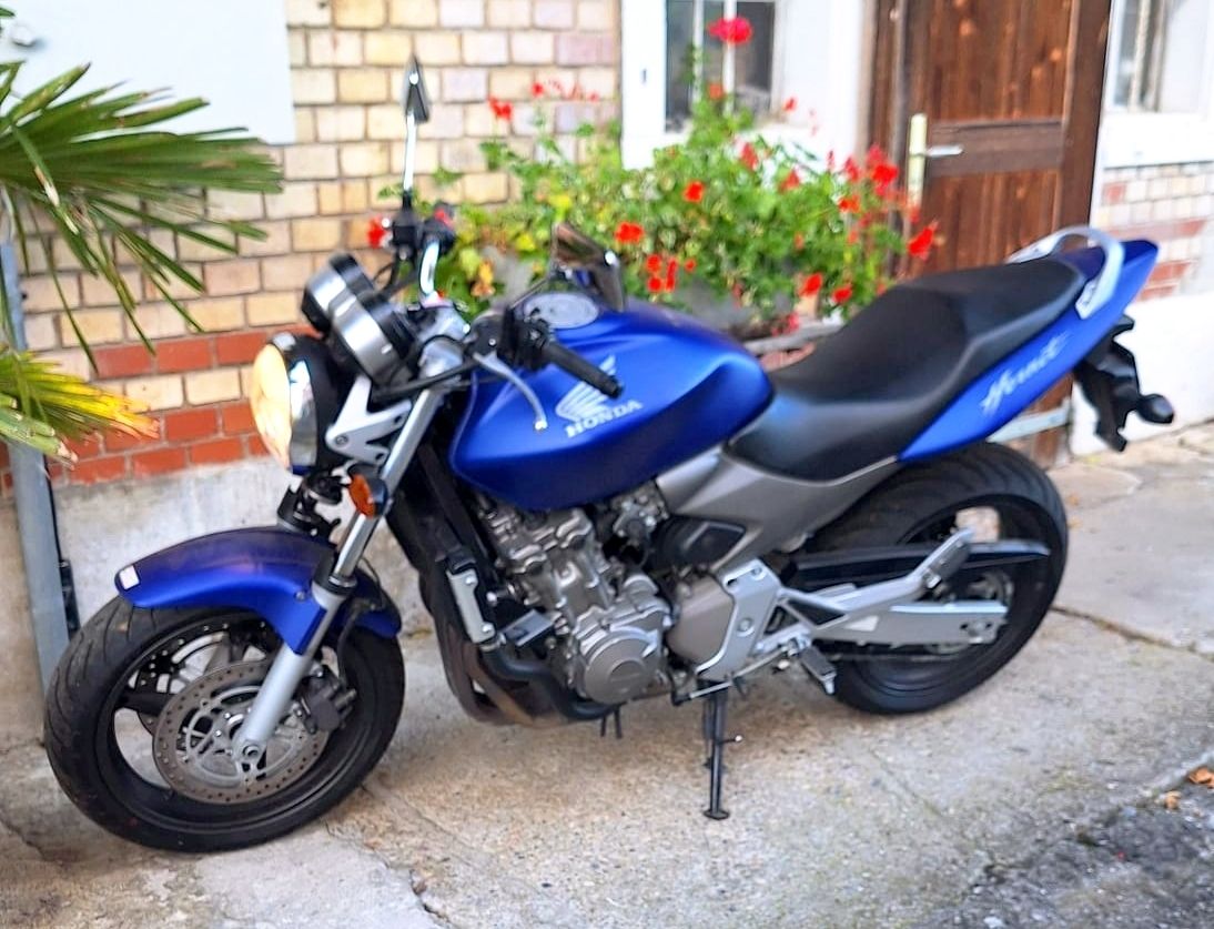 Honda Strada: Honda Hornet, Top Zustand – Usato da Schmerikon venduto da 1SanMartin