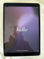 Apple iPad Air 3 WiFi und Cellular defekt Glasbruch