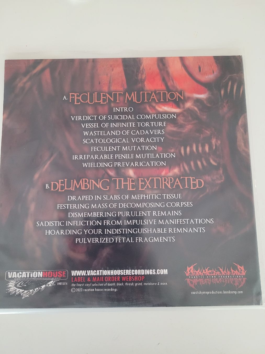 Schallplatten: Impaled Divinity - Feculent Mutation Blue/Grey Marbled Vinyl – Neu (gemäss Beschreibung) aus Münsingen von Drachenwurst 2