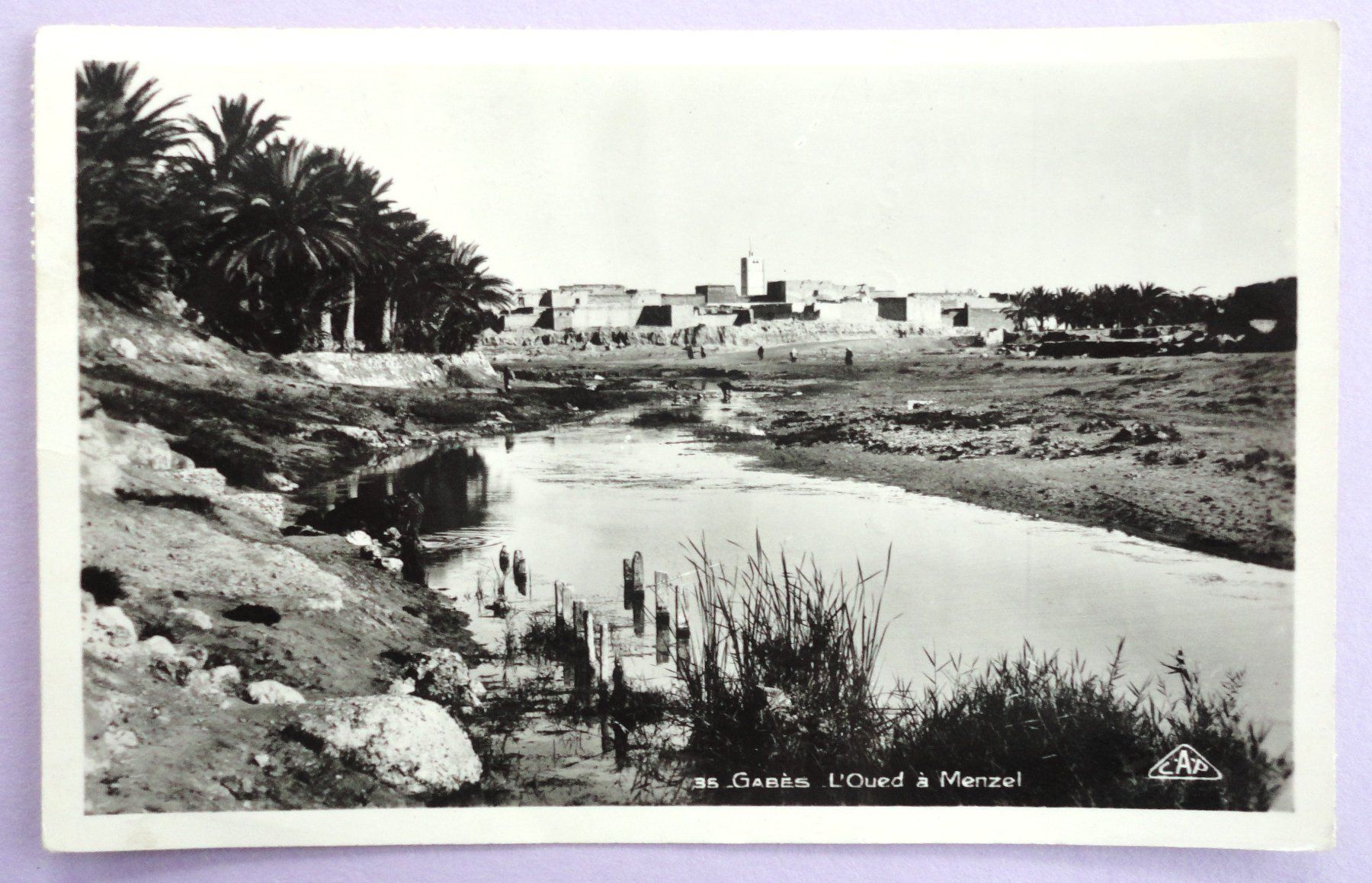 Cartoline postali: Gabès - L' Oued à Menzel – Usato da Fétigny venduto da Billy2miny