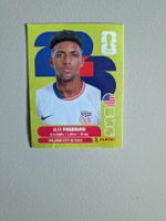 Panini Bild USA 6