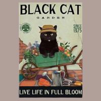 🔥 BLACK CAT GARDEN Katzen Blechschild 💚 20x30cm OVP 🔥
