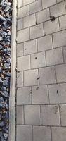 Beton Verbundsteine  100 m² - Preis pro Stk