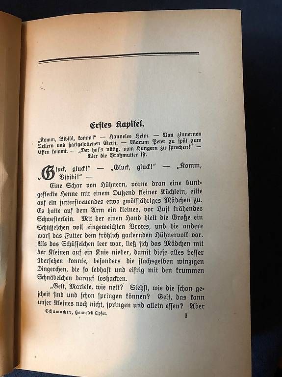 Libri: Vintage / Bücher /  Hanneles Opfer – Usato da Eschlikon TG venduto da Farewell01 2