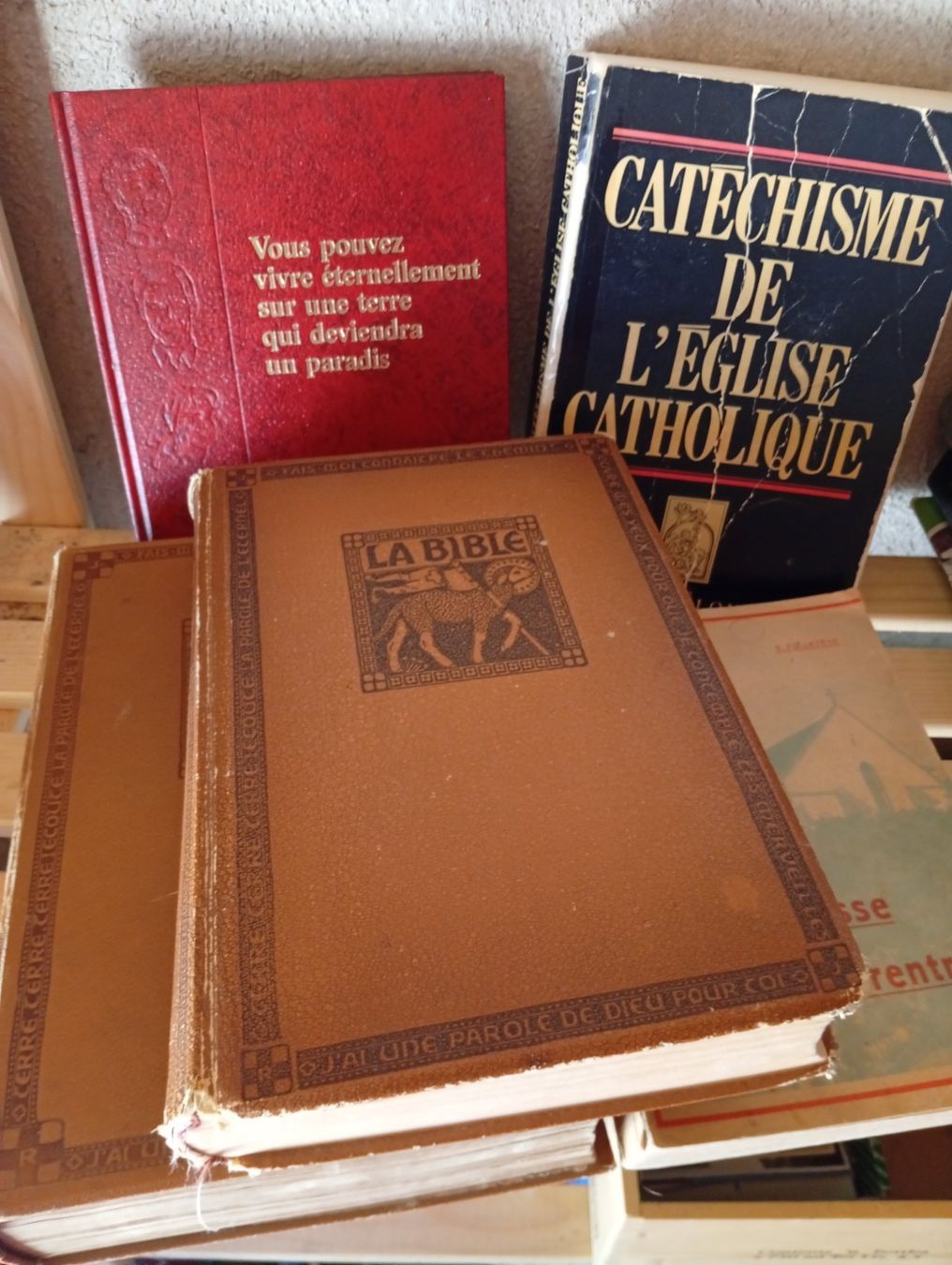 Libri: Lot livres religieux – Usato da Perrefitte venduto da 36B 1