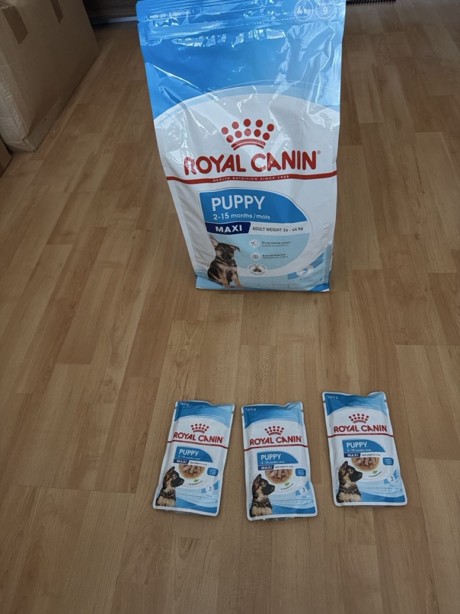 Royal Canin Mangimi: Royal canIn puppy maxi – Nuovo e nell'imballaggio originale da Lausanne venduto da sah_5wsx 1