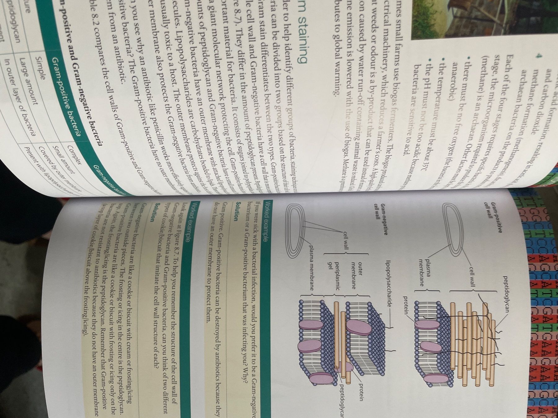 Bücher: Standard Level Biology (Gymnasium) – Neu (gemäss Beschreibung) aus Riehen von mar_x95l 2