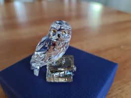 Swarovski Figur Harry Potter Eule Hedwig  neu und OVP 