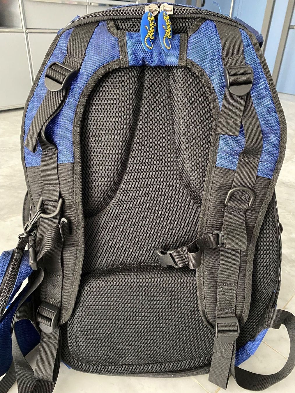 Zaini: Rucksack für Kinder/Jugendliche – Nuovo (secondo la descrizione) da Hochwald venduto da robwol 3