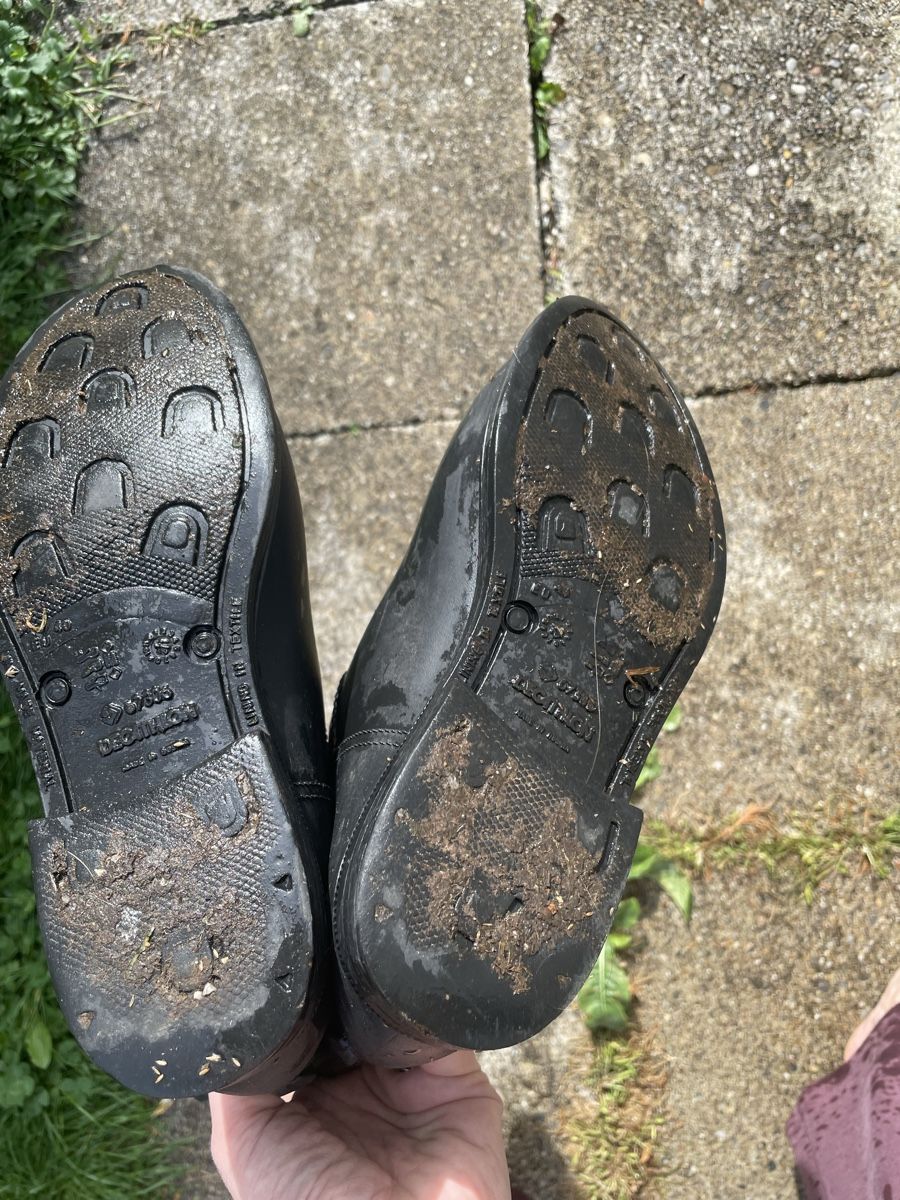 Scarpe da donna: Reitgummistsiefel Gr. 40 , gebraucht – Usato da Ennetaach venduto da Ustraessle 3