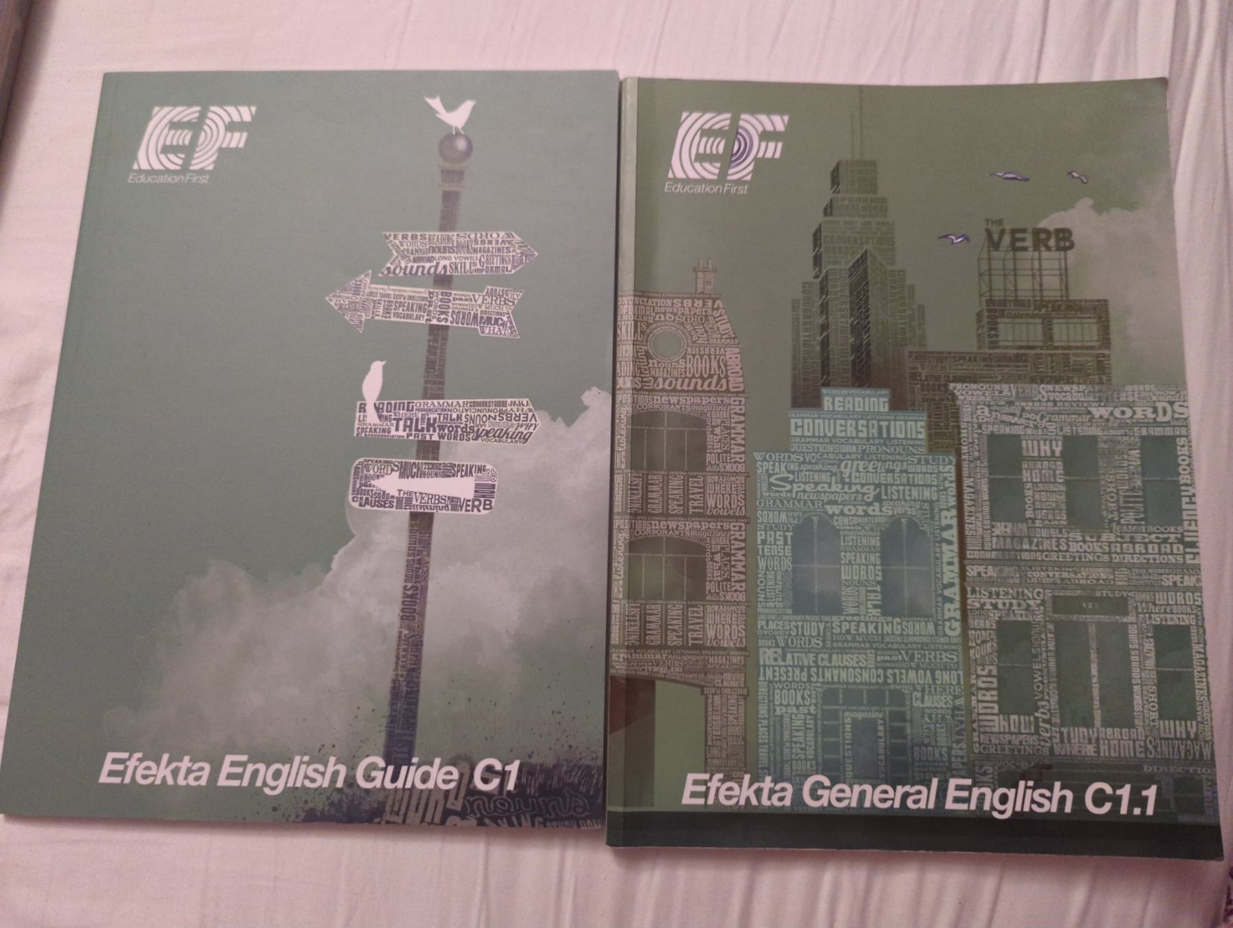 Bücher: Efekta Général Englisch C1 – Gebraucht aus Dierikon von Jolie
